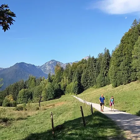 Apartmán Alpenfex